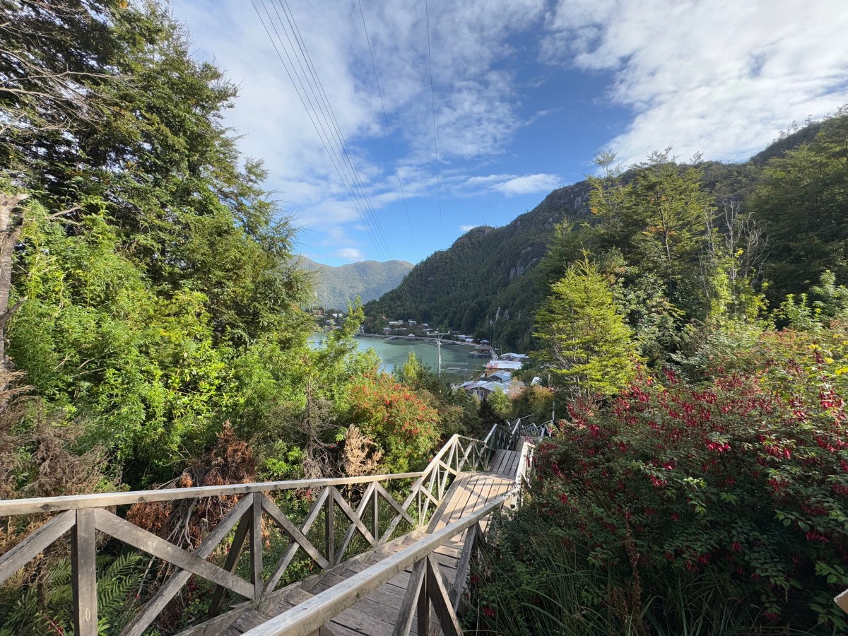 Phytotherapy of Caleta&nbsp;Tortel